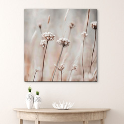 Minimalistický obraz kvetov - Krehké steblá
