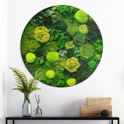 Wooden Wall Art - Mosses | 66x66 cm