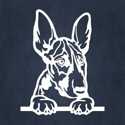 Wooden Wall Art - Bull Terrier Puppy | White