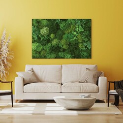 Printed Moss Wall Art