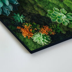 Kép pozsgás növényekkel és mohával - Flora Moss