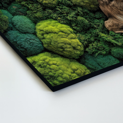 Tablou cu mușchi - Atingerea naturii