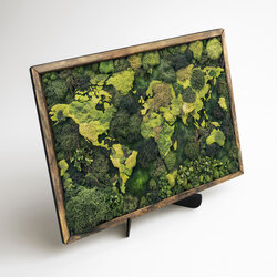 Machová imitácia mapy sveta - Obraz