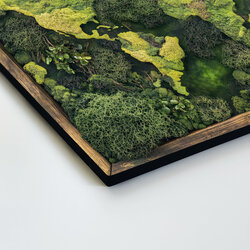 Machová imitácia mapy sveta - Obraz