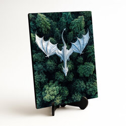 Barevný obraz na dřevě - Bílý drak