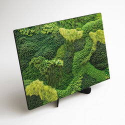 Moss Wood Wall Art - Path of Nature