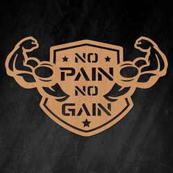 Motivational Picture - No Pain No Gain | Beech