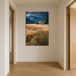 Image of nature - Poppies in the grain