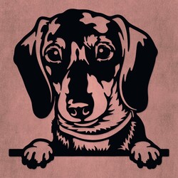 Wooden 3D Wall Art Dog - Dachshund | Black