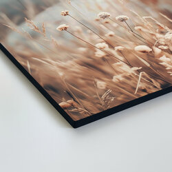 Obraz na stenu - Poľné kvety