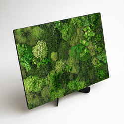 Printed Moss Wall Art