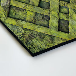 Drevený obraz na stenu - Vzory v machu