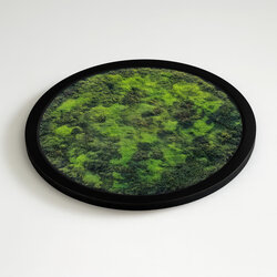 Circular picture with moss effect - Green room