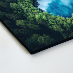 Fa falikép - Erdő szív alakban