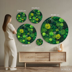 Wooden Wall Art - Mosses