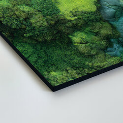 Mechový panel - Tištěný obraz na dřevě