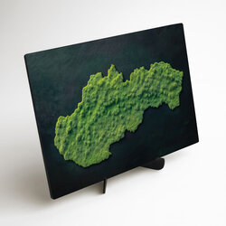 Machový obraz na stenu - Mapa Slovenska (UV tlač)