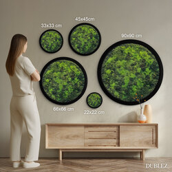 Circular picture with moss effect - Green room