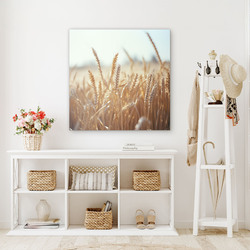 Dřevěný obraz - Pšenice