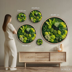 Wooden Wall Art with 3D Moss Effect - Fern