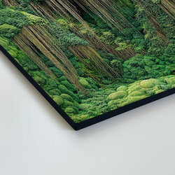 Printed Moss Wall Art on Wood - A Touch of Wilderness