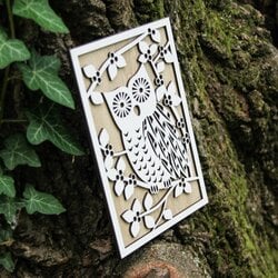 3D fakép - Bagoly | Fehér / Sonoma Tölgy