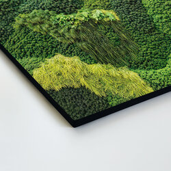 Moss Wood Wall Art - Path of Nature