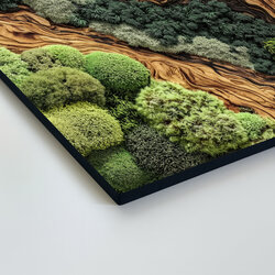 Moss picture on the wall - Forest Stream (UV print)
