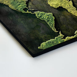 Wooden World Map with Moss Design