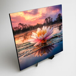 Umelecký obraz - Kvet lekna