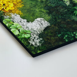 Moss Printed Wall Art - Paradise