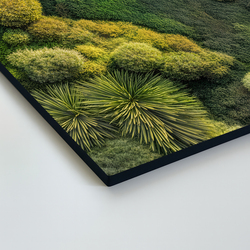 Mechový obraz - Zelená oáza (imitace)