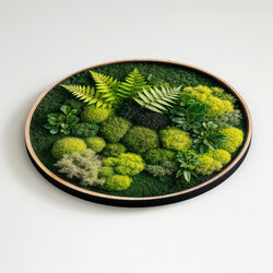 Wooden Wall Art with 3D Moss Effect - Fern