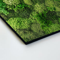 Printed Moss Wall Art