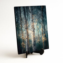 Tablou pădure de mesteceni - Licurici