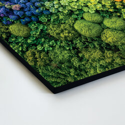 Multi-panel wall art - Moss rainbow