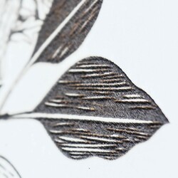 Modern fa falikép - Vad virágok | Fehér