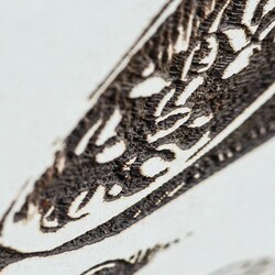 Wooden Wall Art Picture for Kitchen - Coffee | White