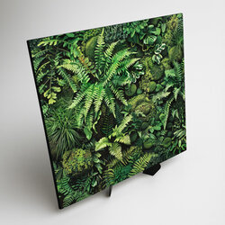 Dřevěný obraz na zeď - Džungle