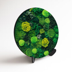 Wooden Wall Art - Mosses