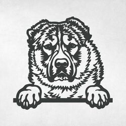 Drevený obraz - Pes Aziat | Antracitovo-šedá