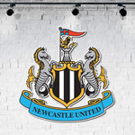 Drevený obraz - Newcastle United
